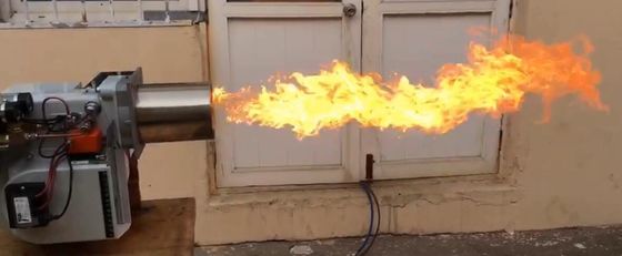LA CHINE Combustion suffisante de brûleur à la CE de double d'étape d'essence et d'huile standard de flamme fournisseur